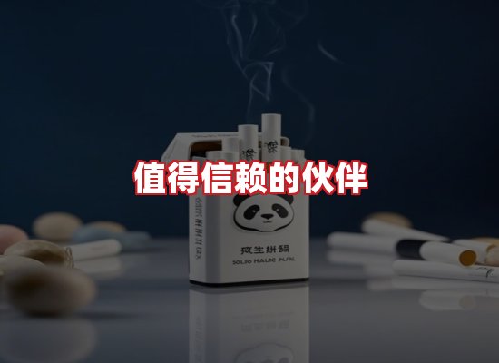 专业团队